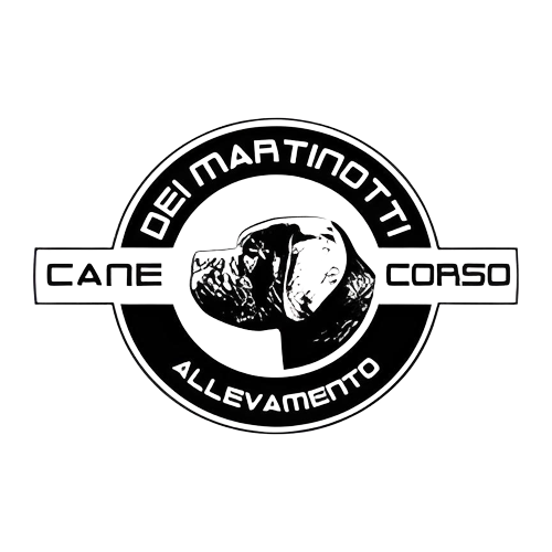 Allevamento cane corso "dei Martinotti "